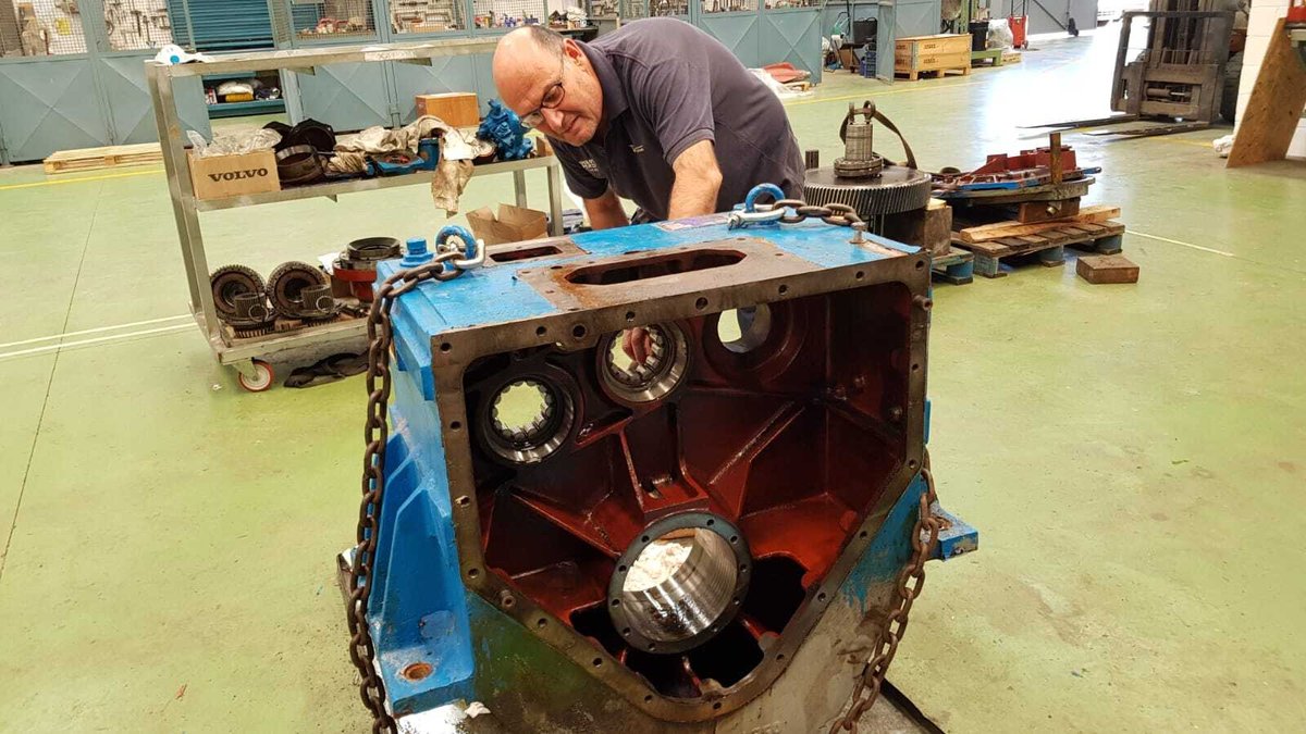 Imagen de Capitol 11 - 2018